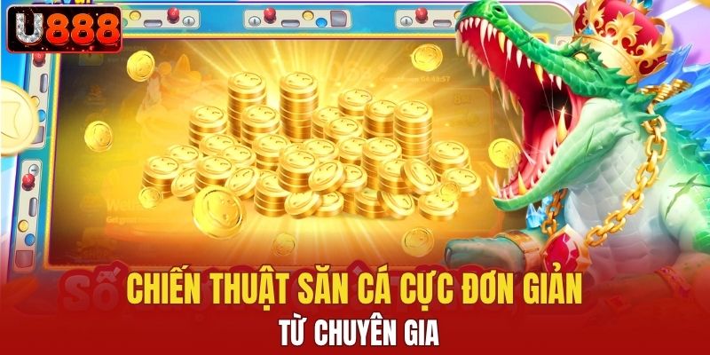 Chiến thuật săn cá cực đơn giản từ chuyên gia