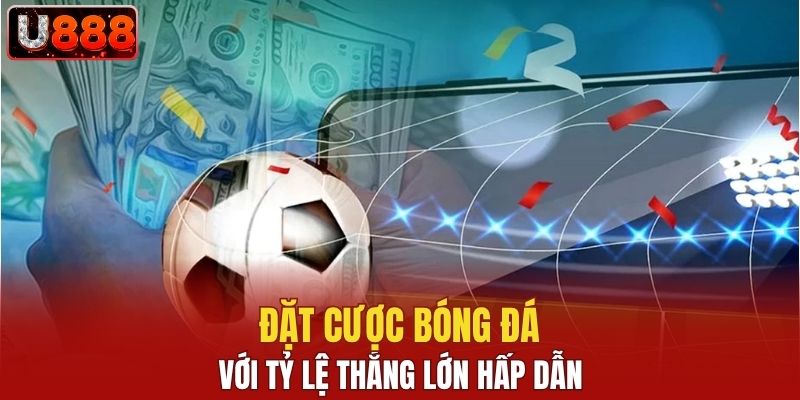 Đặt cược bóng đá với tỷ lệ thắng lớn hấp dẫn
