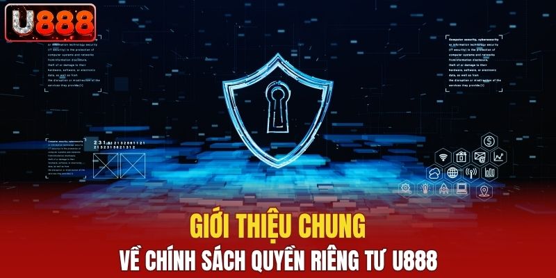 Giới thiệu chung về chính sách quyền riêng tư U888