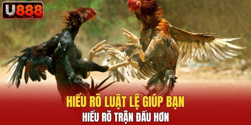 Hiểu rõ luật lệ giúp bạn hiểu rõ trận đấu hơn