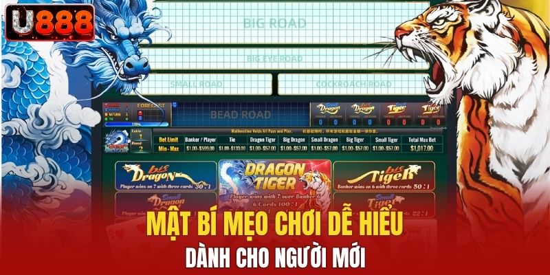 Mật bí mẹo chơi dễ hiểu dành cho người mới