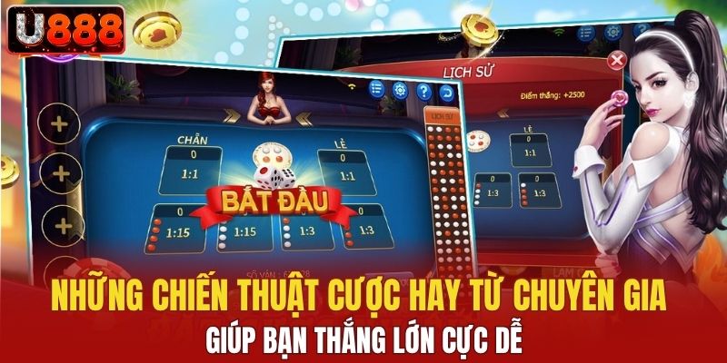 Những chiến thuật cược hay từ chuyên gia giúp bạn thắng lớn cực dễ