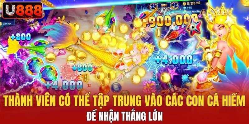 Thành viên có thể tập trung vào các con cá hiếm để nhận thắng lớn