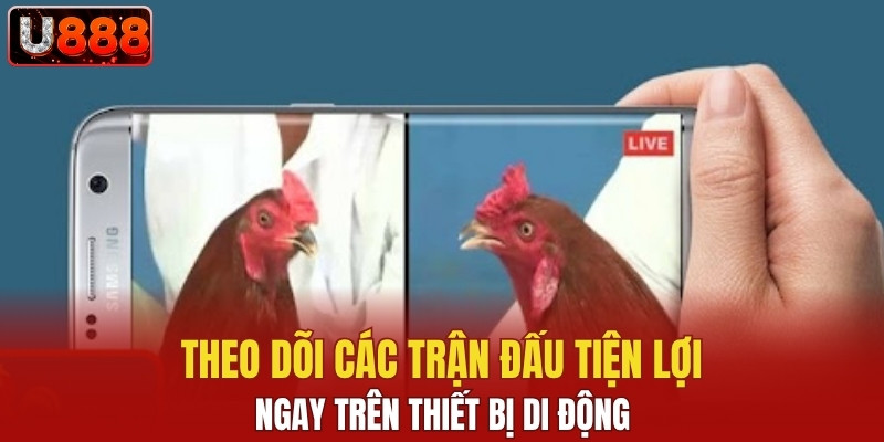 Theo dõi các trận đấu tiện lợi ngay trên thiết bị di động