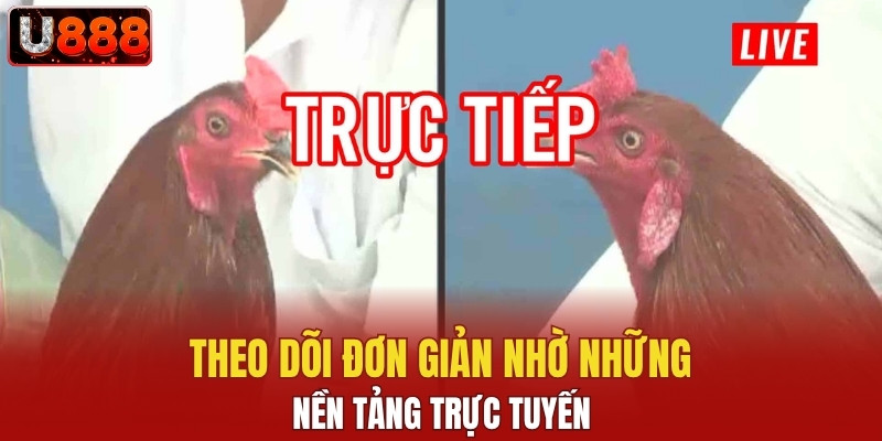 Theo dõi đơn giản nhờ những nền tảng trực tuyến