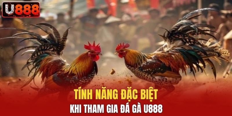 Tính năng đặc biệt khi tham gia chơi đá gà U888